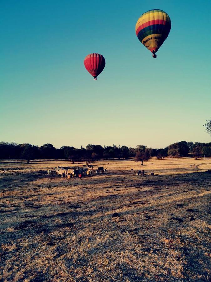 Kromdraai Guest Rooms Krugersdorp Exterior photo